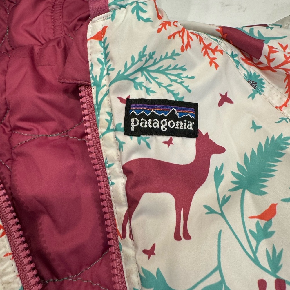 Patagonia bunting 24M